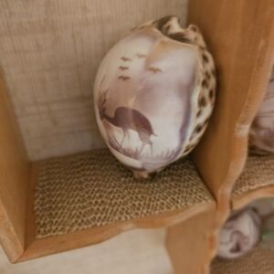 Handcrafted Decorative Shells with Animal Design Set Of 5